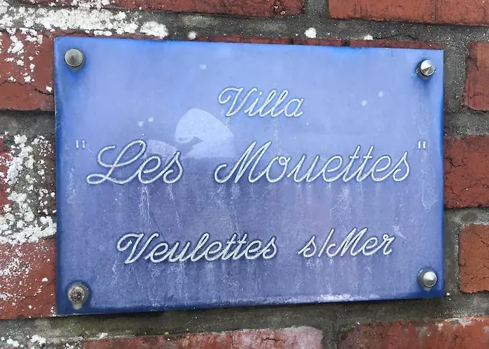 Reamenage Fin Juillet 2025, Albatros A Moins De 50 Metres De La Plage, Vue Degagee Sur La Vallee Apartment *