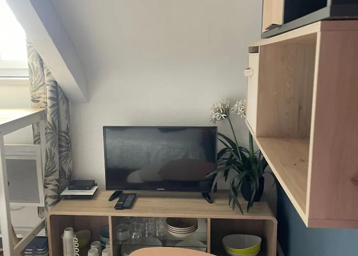 Apartment Reamenage Fin Juillet 2025, Albatros A Moins De 50 Metres De La Plage, Vue Degagee Sur La Vallee